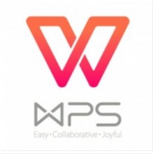 WPS.jpg